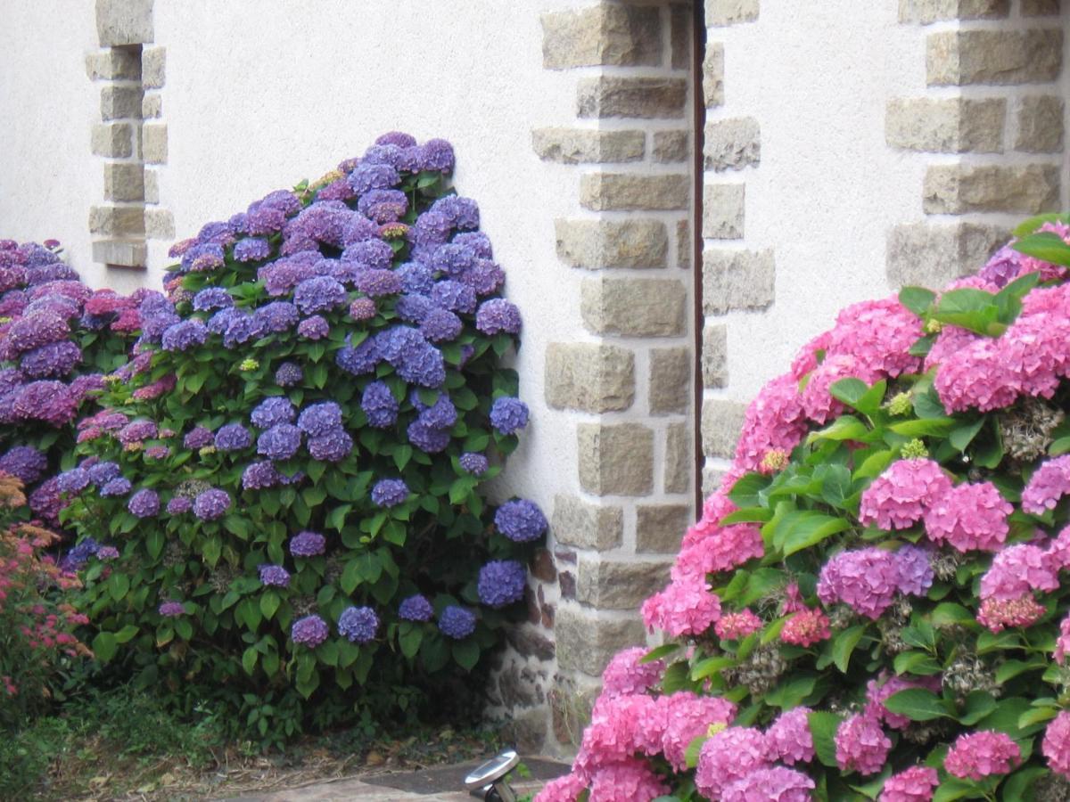 Perrault Gites Loscouet-sur-Meu Kültér fotó